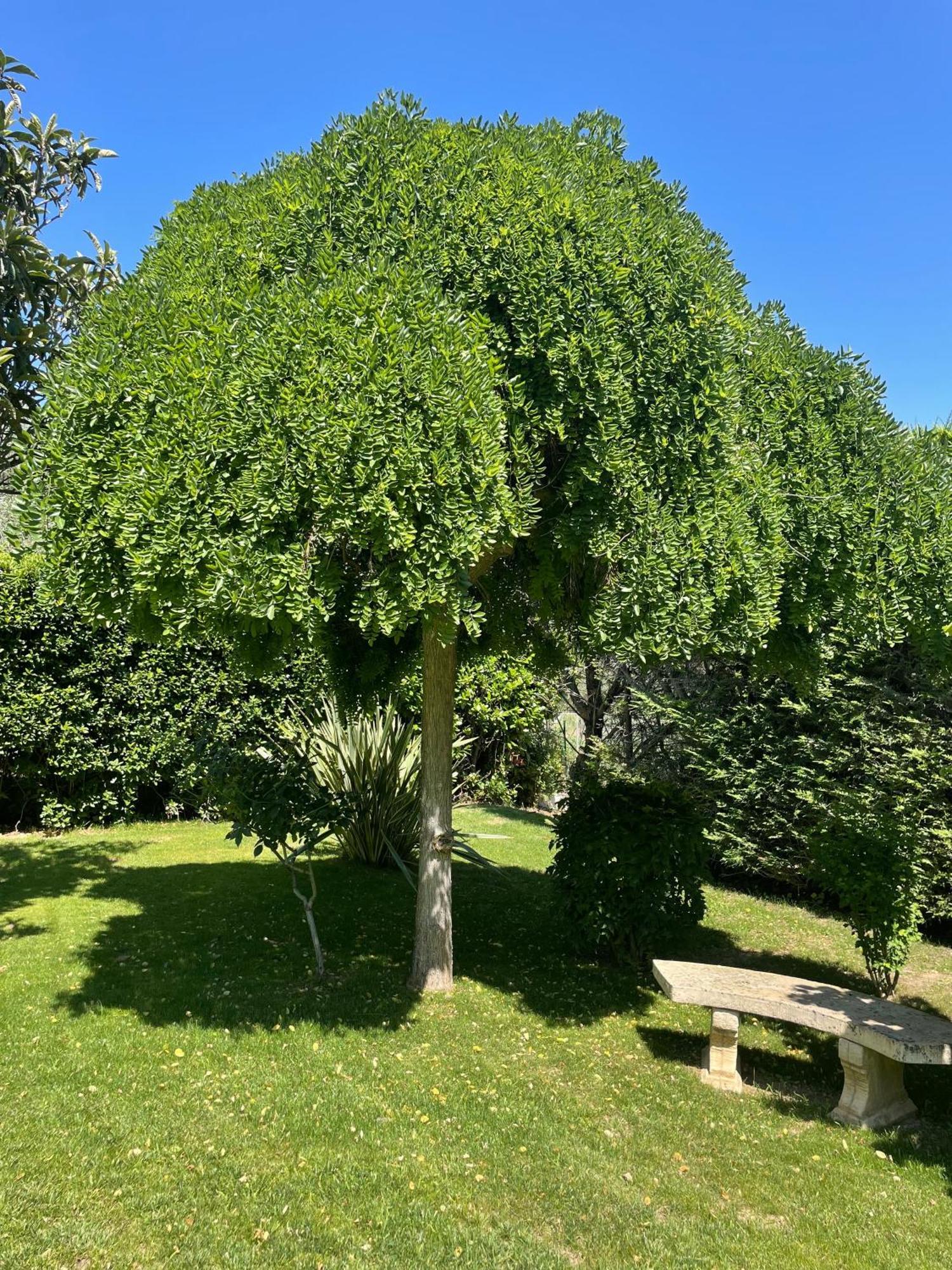Le Clos Serein Le Beausset Buitenkant foto