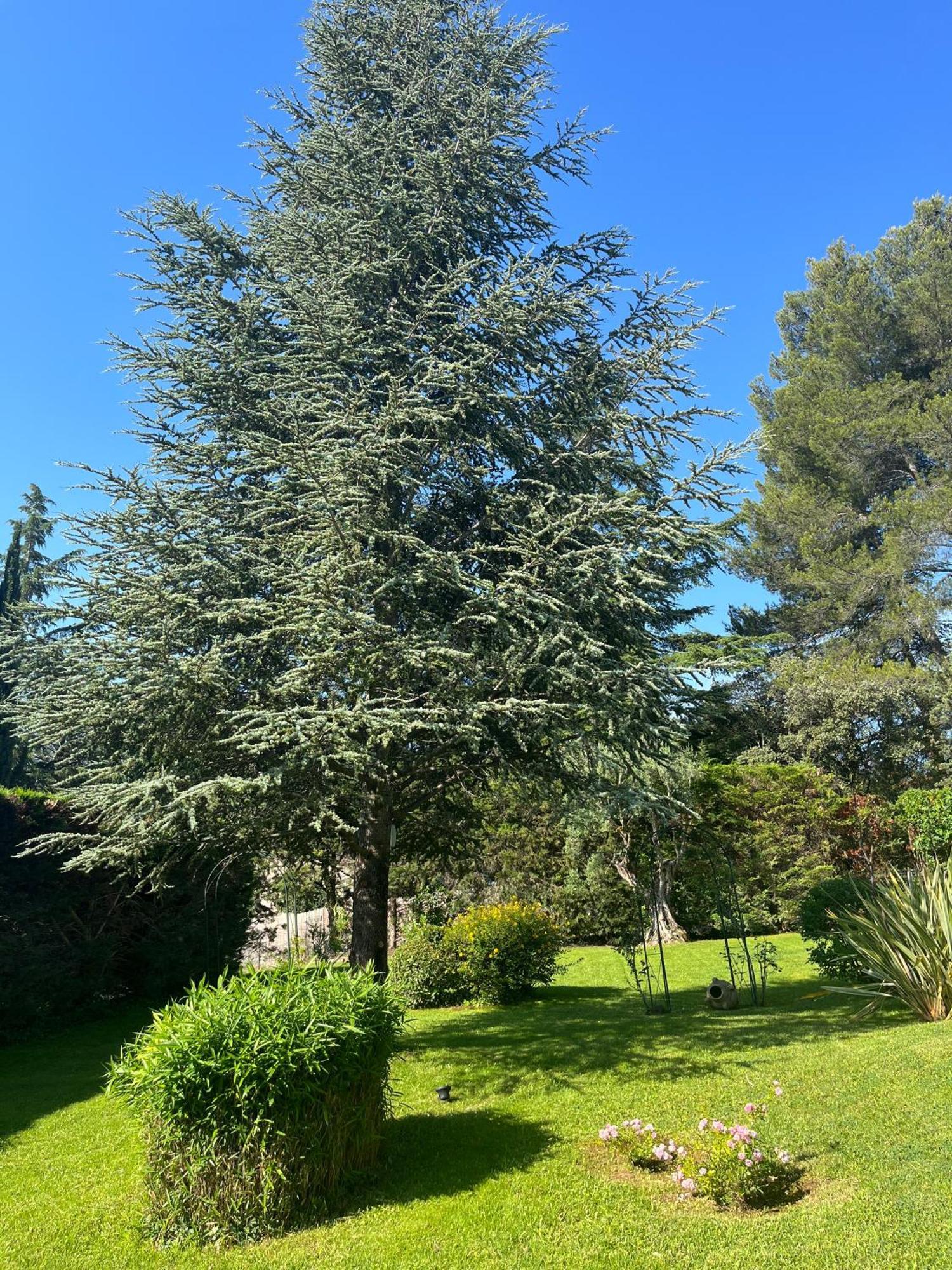 Le Clos Serein Le Beausset Buitenkant foto