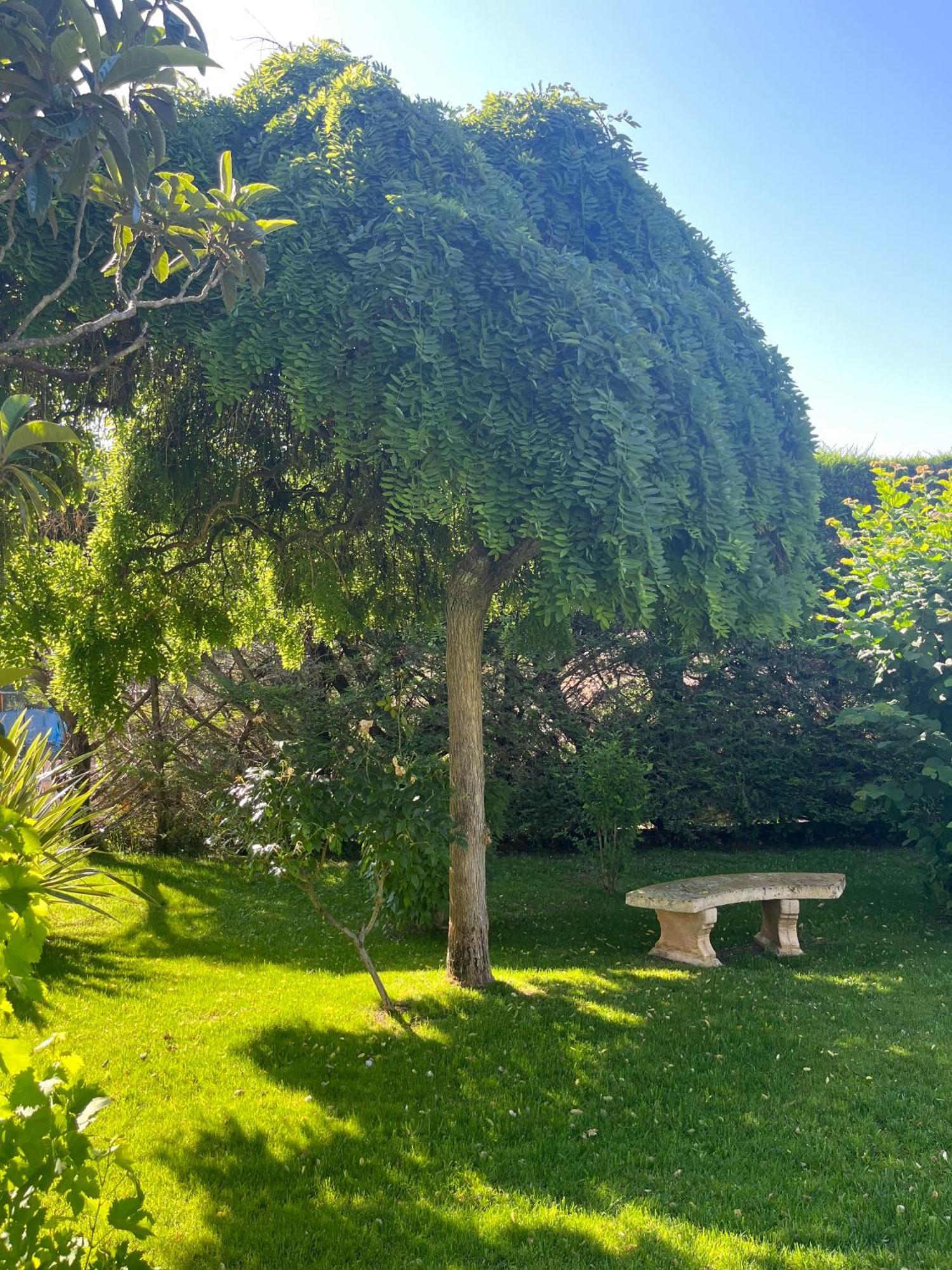 Le Clos Serein Le Beausset Buitenkant foto